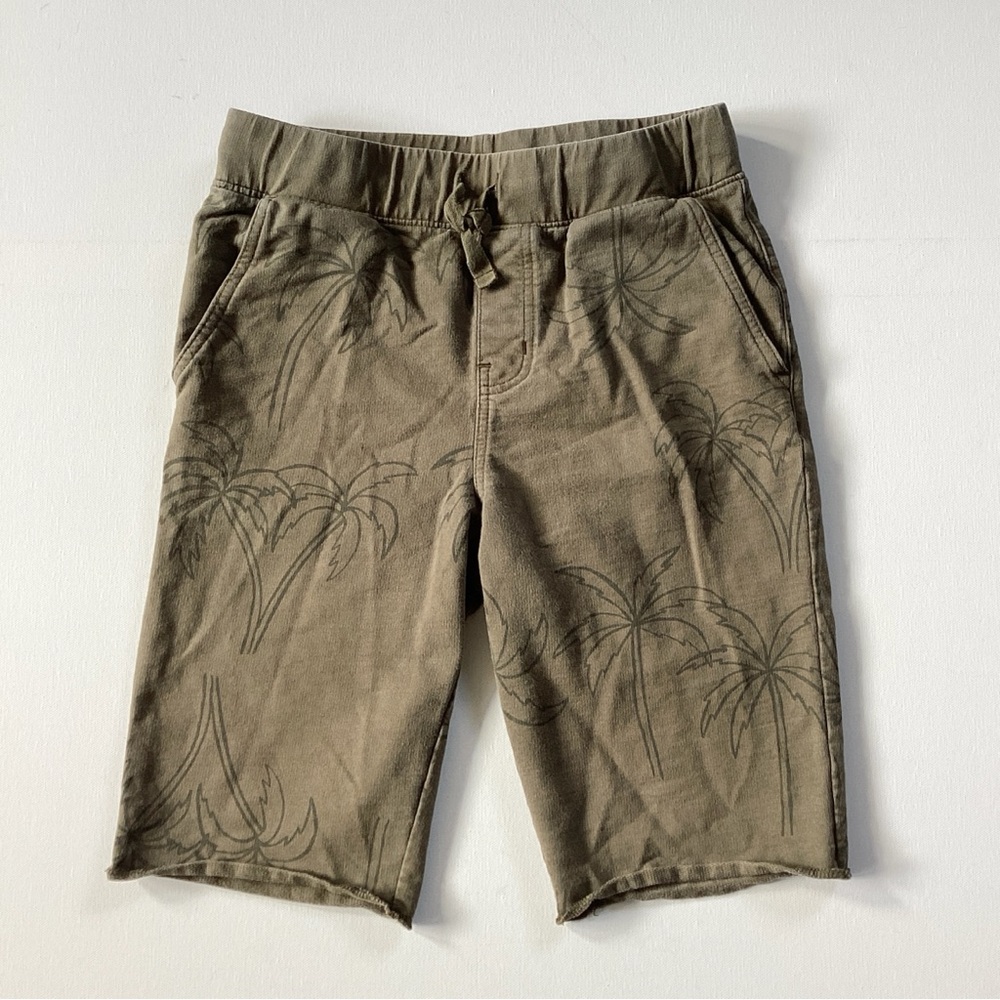 Tea Collection Palm Tree Print Shorts